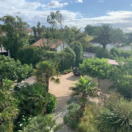 Pensjonat Maison Arbolateia Avec Piscine Et