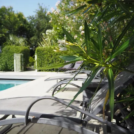 Maison Arbolateia Avec Piscine Et Bidart