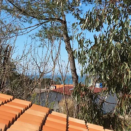 Maison Arbolateia Avec Piscine Et Penzion