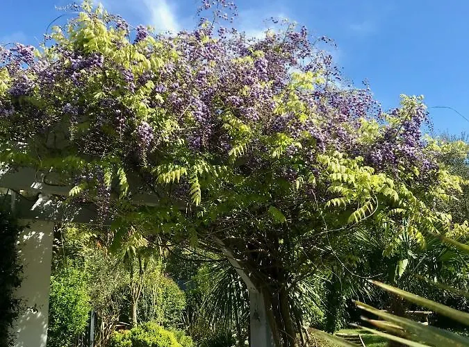 Gæstehus Maison Arbolateia Avec Piscine Et *